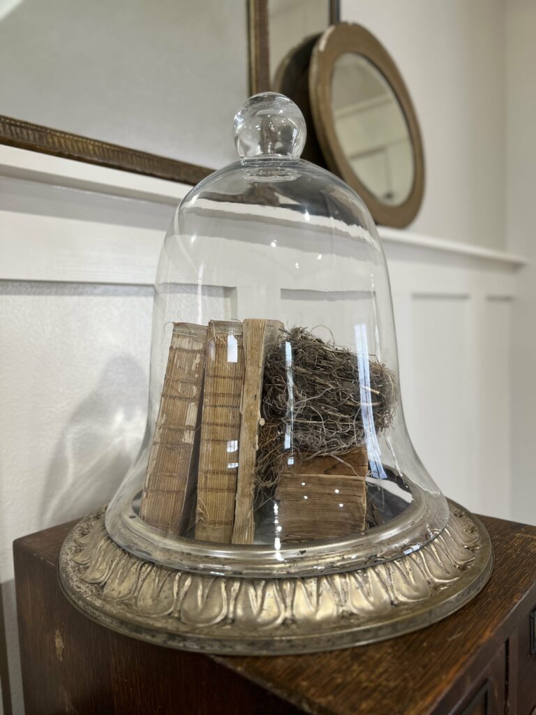 Bell cloche with books and a nest and a metal base.