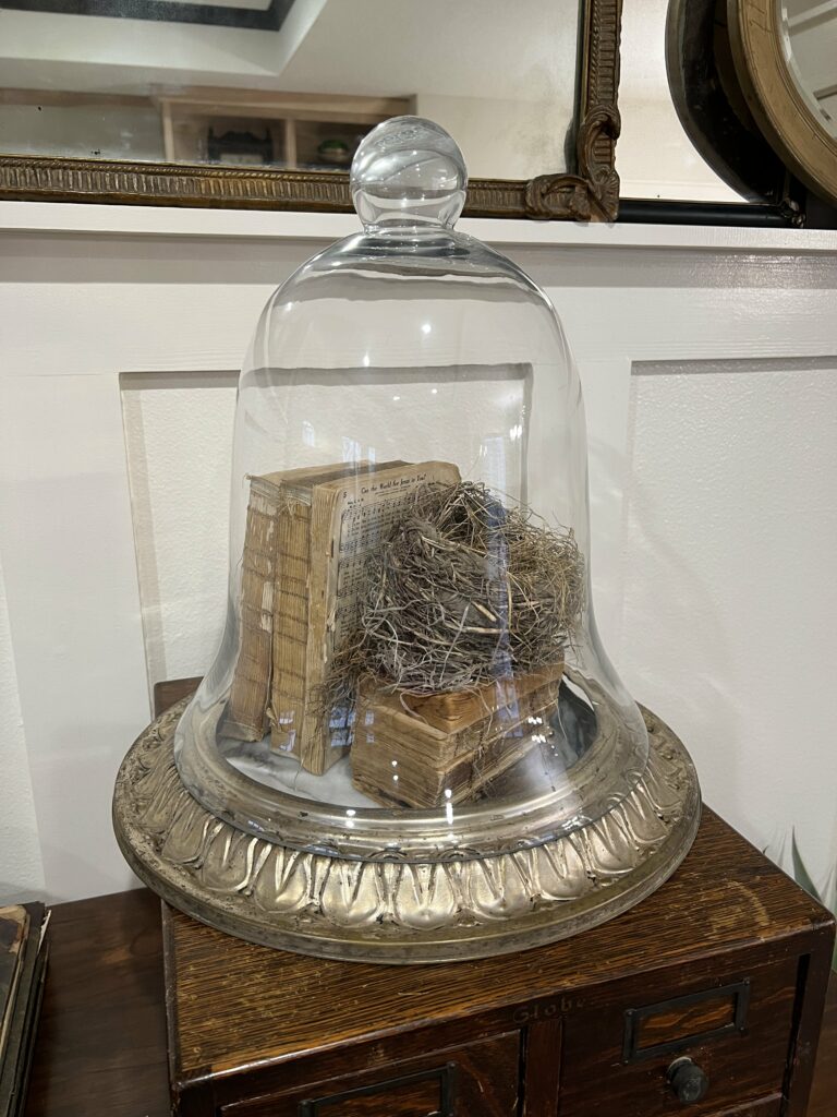 Bell cloche with books and a nest under it sitting on a metal ring.