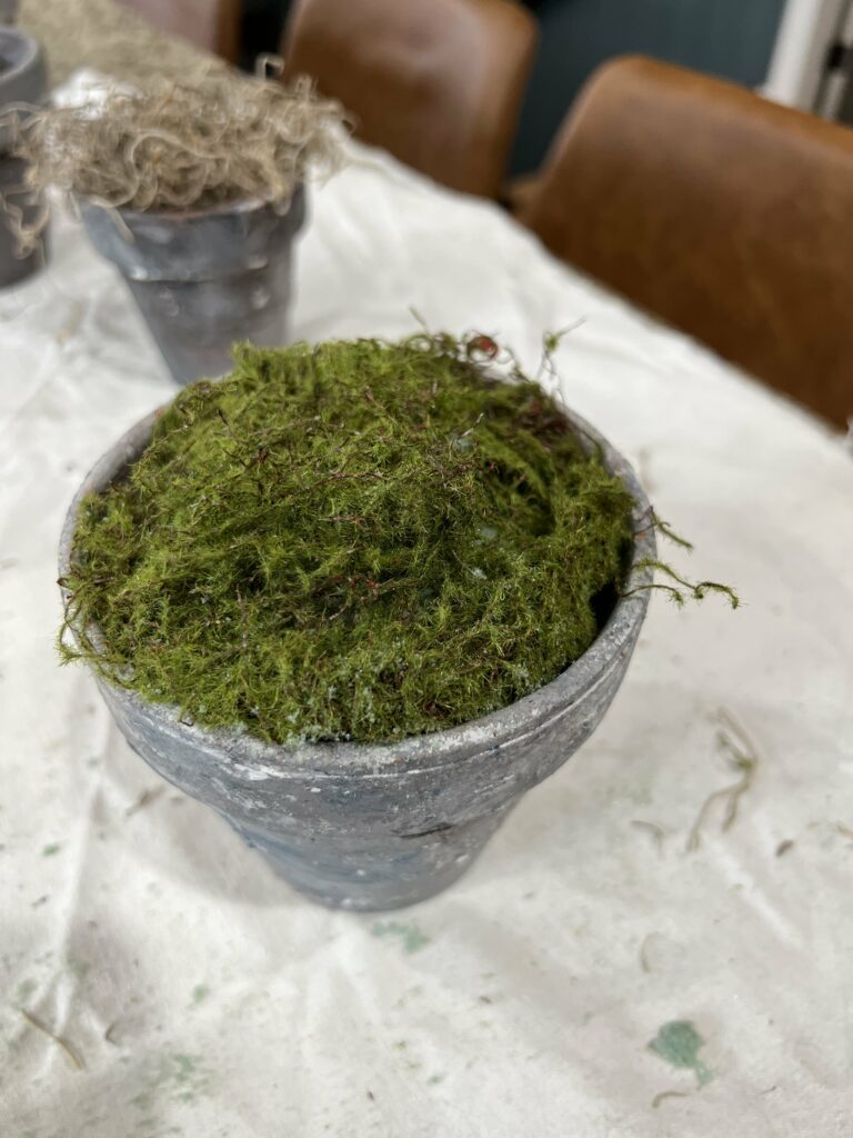 pot covered with the sheet moss