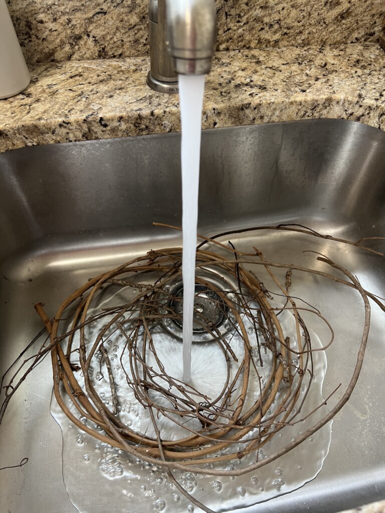 water coming out of faucet with grapevine in sink