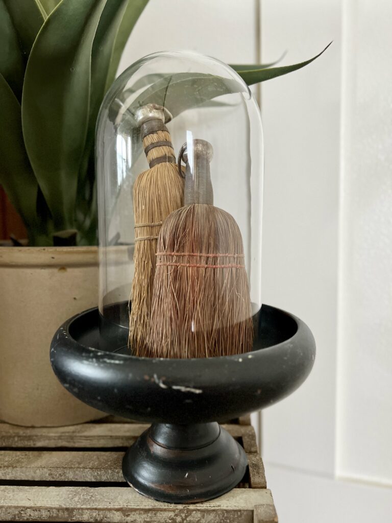 Pair of whisk brooms under a dome cloche.