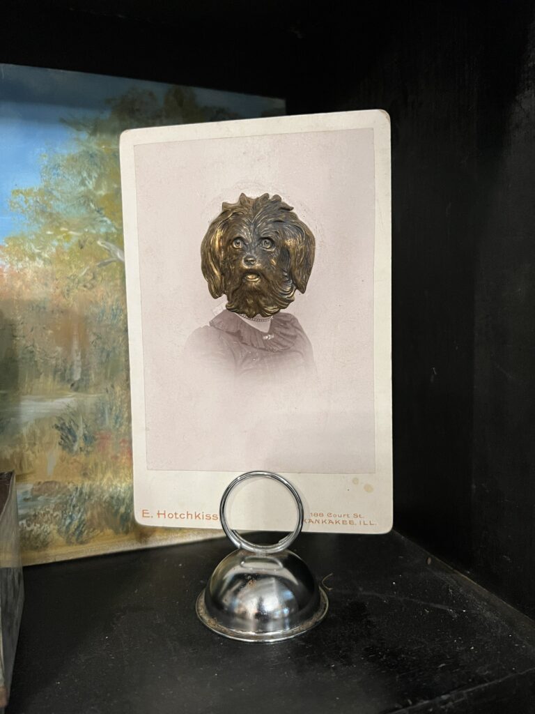 a metal dog was placed over a face on a photo