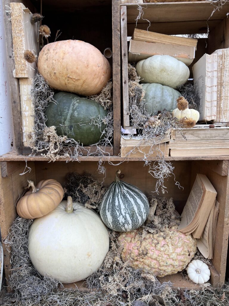 pumpkins, books, and spanish moss stuffed into crates