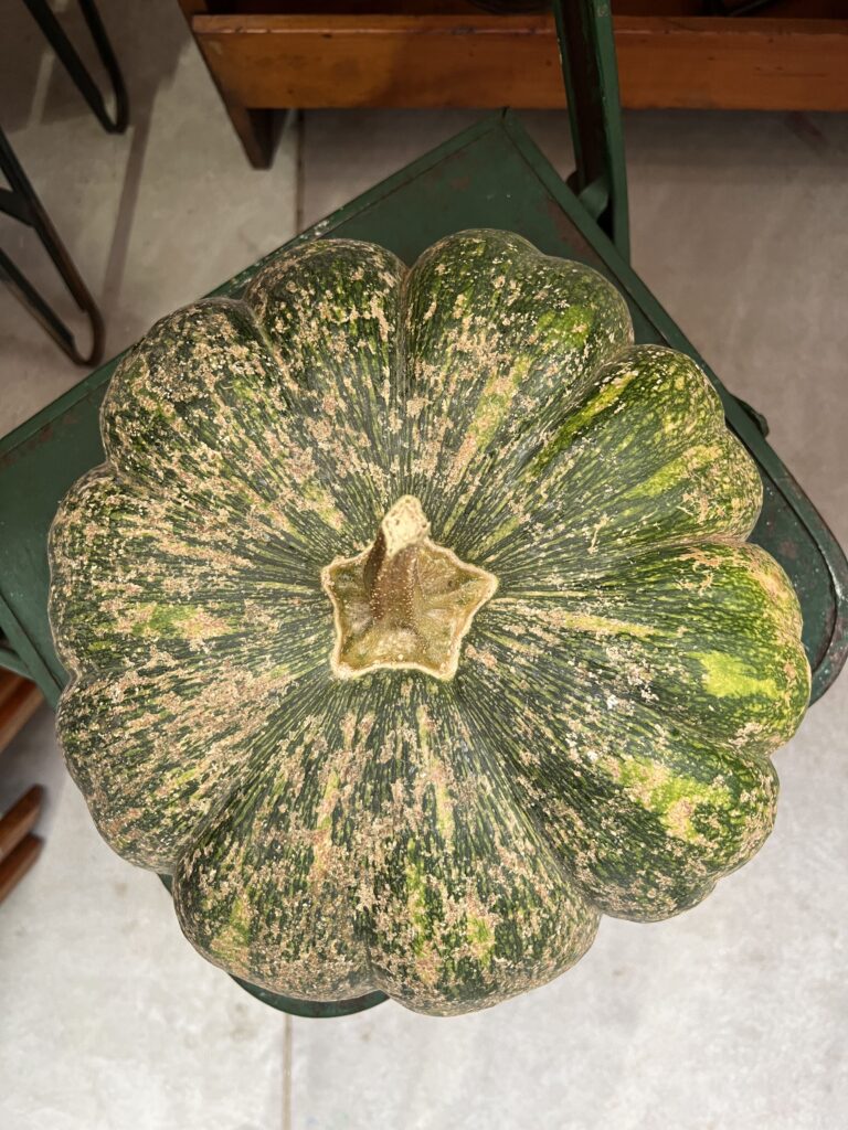 pumpkin sitting on a chair