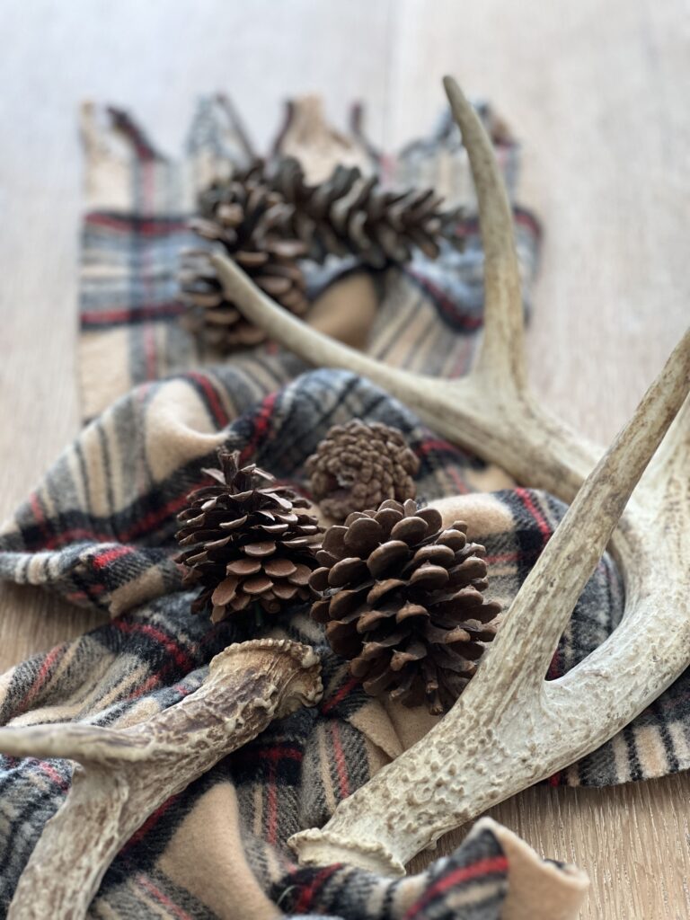 A plaid scarf as a table runner with antlers and pinecones