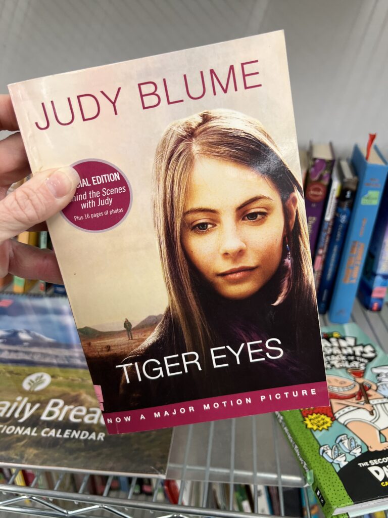Tiger Eyes book Judy Blume
