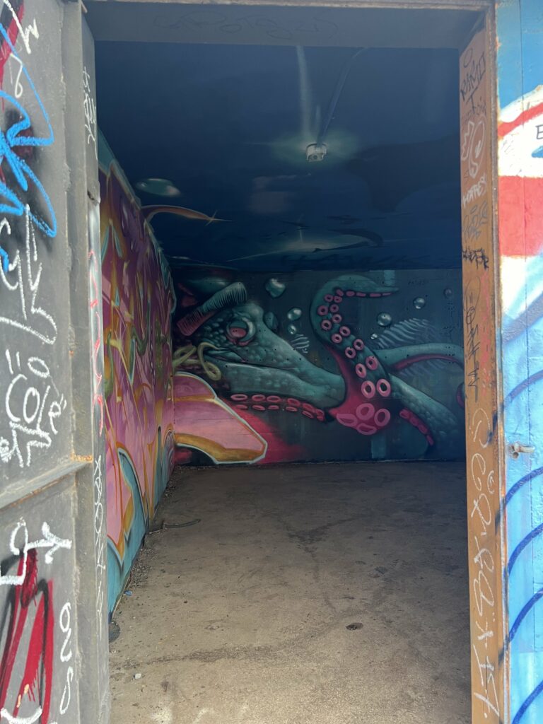 Graffiti on Pink Pillbox Hike