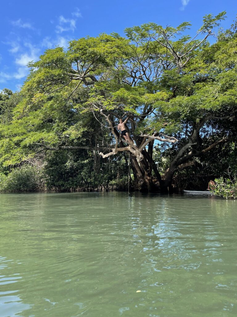 Our youngest rope swinging Haleiwa