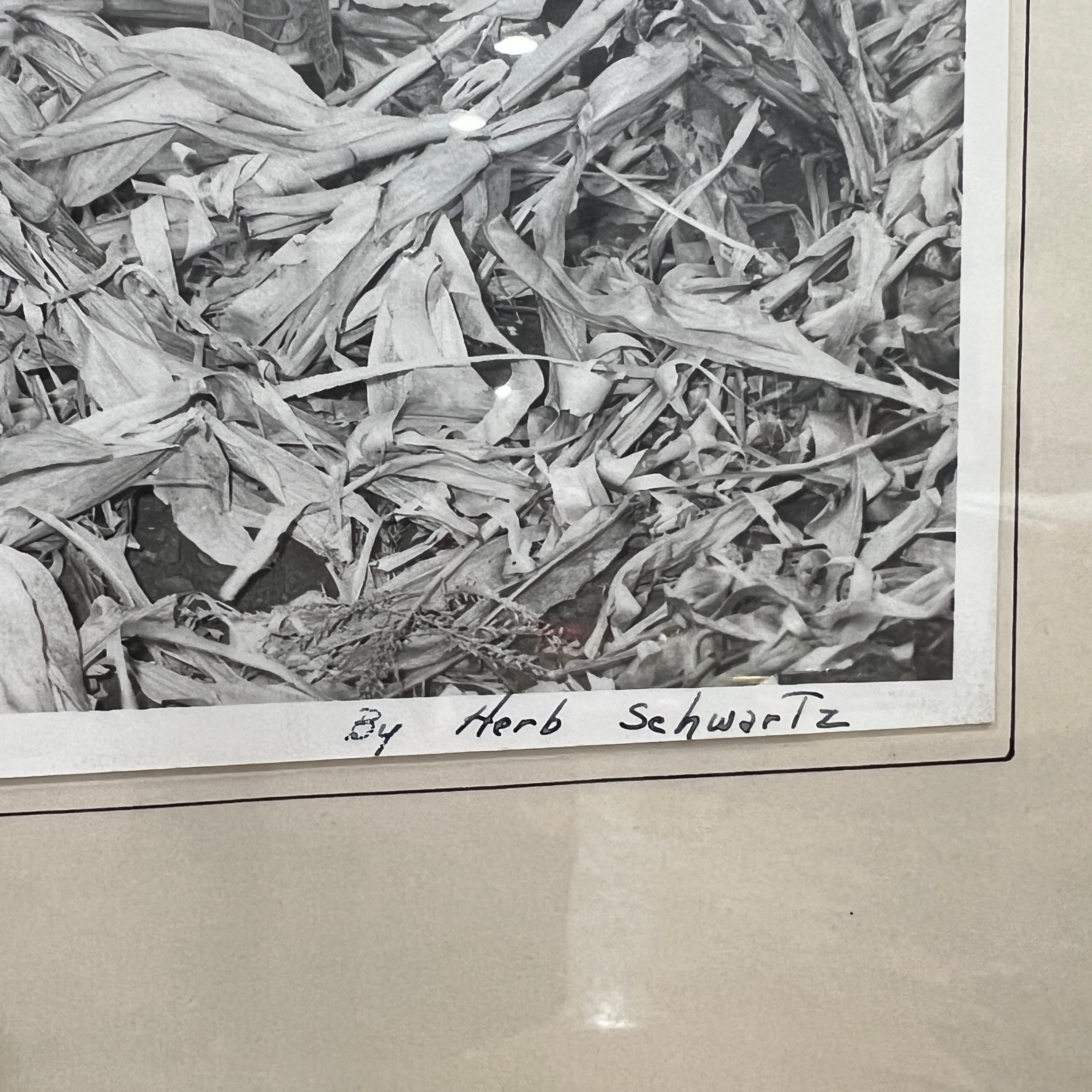 Vintage Duck Hunting Framed Black and White Photo 1948 - Image 6