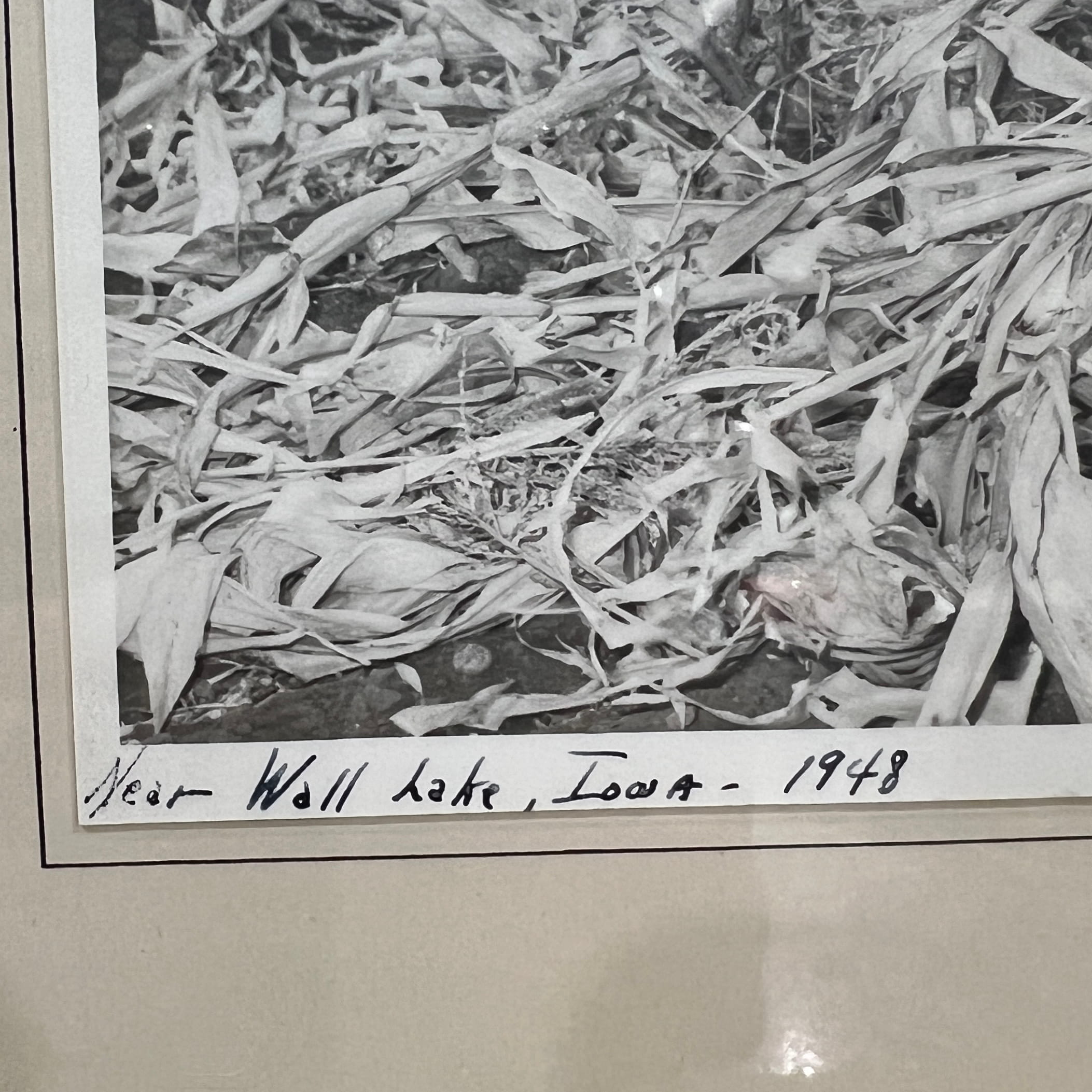 Vintage Duck Hunting Framed Black and White Photo 1948 - Image 4